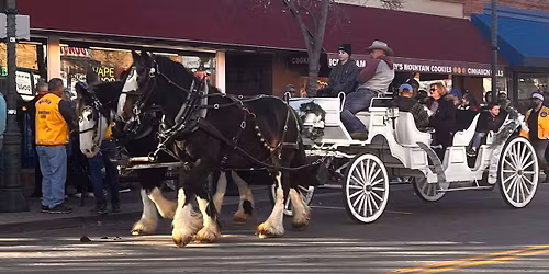 Downtown Fort Collins Holiday Light Tours