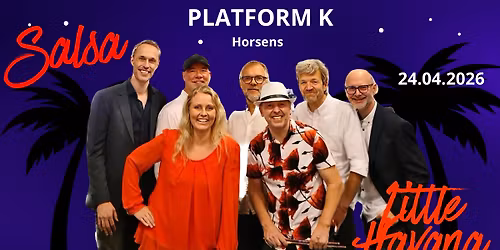 Salsaaften med Little Havana