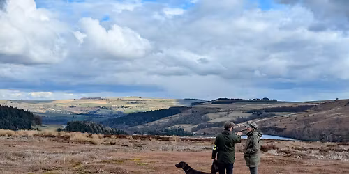 GSPC Northwest Group Grouse Pointing Test