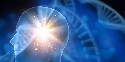 Bazinis Theta Healing kursas (DNR 1)