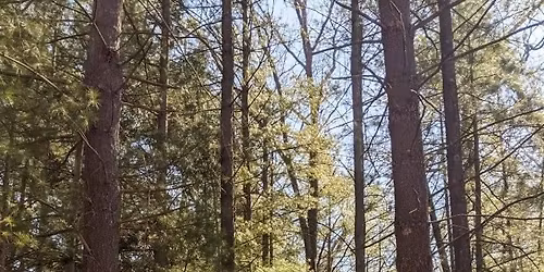 Hike at Pentwater Pathways