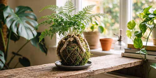 Kokedama & Persian Tea Experience