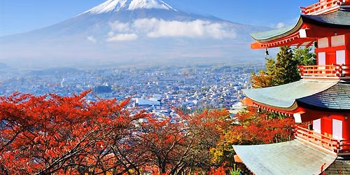 Road Trip Japon, cerisiers en fleurs! 
