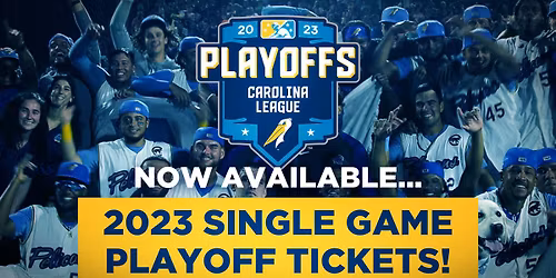 Columbia Fireflies at Fayetteville Woodpeckers