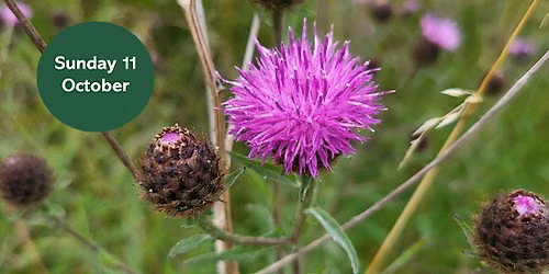 Ouse Burn Way: Meadow Makeover Day