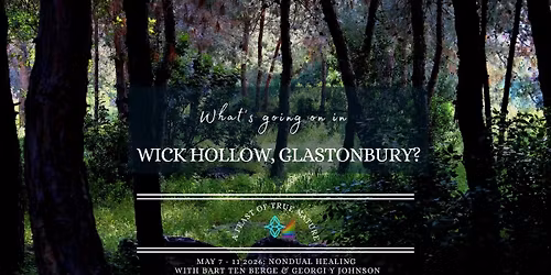 Awakening as the Field - with Georgi & Bart