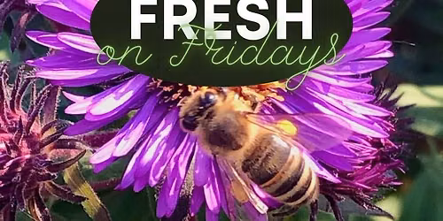 Fresh on Fridays
