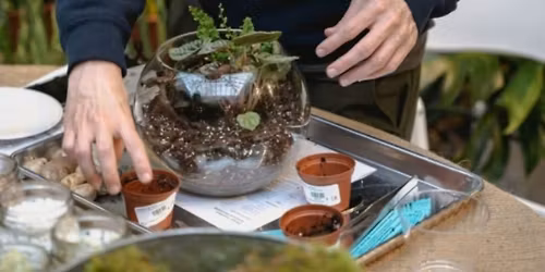 Terrarium Workshop at Buddy Boy Winery