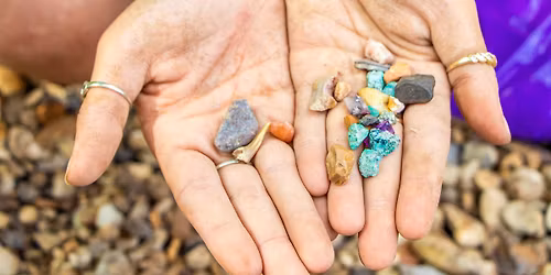 Rockin' at the Swamp
