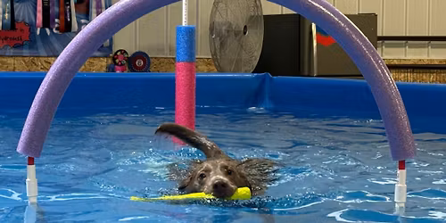 Splash and Dash Try it Day