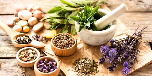 Herbal Home Basics Workshop