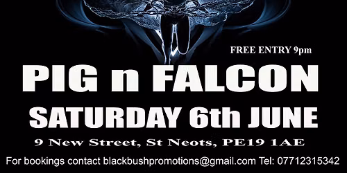 BRS @ The Pig n Falcon St Neots