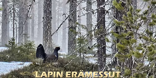 Lapin Er\u00e4messut