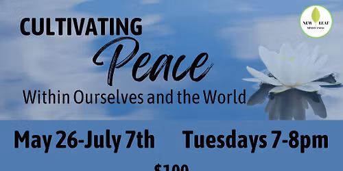 Mindfully Cultivating Peace Within Ourselves and the World
