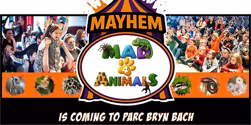 Mayhem of Mad4animals Parc Bryn Bach