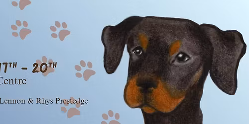 Stray by R Johns at the Moonah Arts Centre