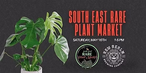 South East Rare Plant Market