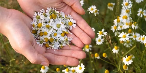 KURZ AROMA MAS\u00c1\u017dE V RYCHLEBSK\u00ddCH HOR\u00c1CH