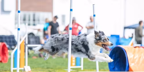 Lillehammerstevnet 30.mai og 31.mai 2026