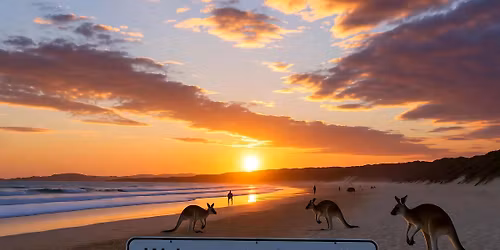 Everything Perth beginnings