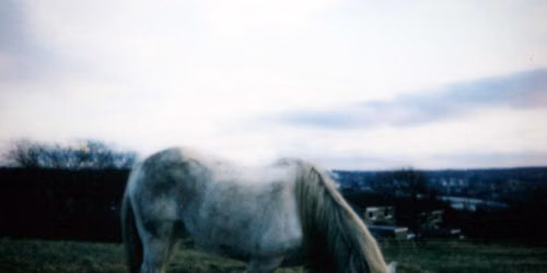 Dean McPhee + The Horse Loom