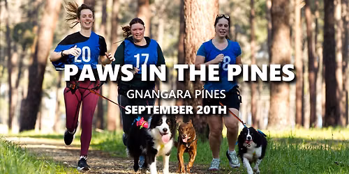 Paws in the Pines (Canicross Only)