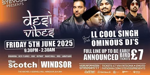 STEVOSS PRESENTS\u2026 DESI VIBES \ud83d\udd25