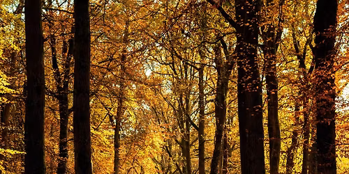 Warmste wandeling \u00b0Limburg