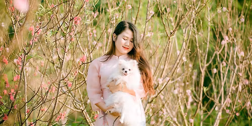 LA - Hanoi Sister City Party at Rafi Lounge, Malibu