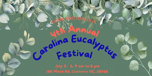 Carolina Eucalyptus Festival