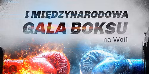 I Mi\u0119dzynarodowa Gala Boksu na Woli