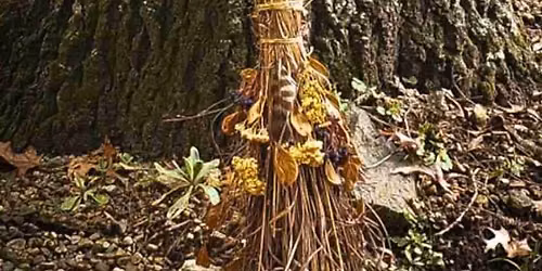 Make Your Own Witch\u2019s Broom Workshop