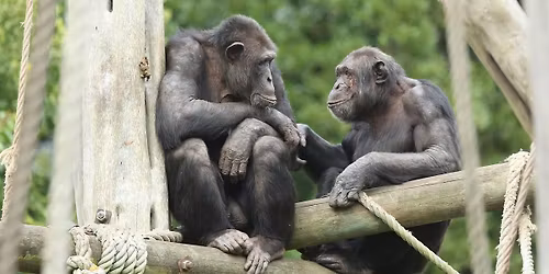 Edinburgh Zoo Tour  in British Sign Language