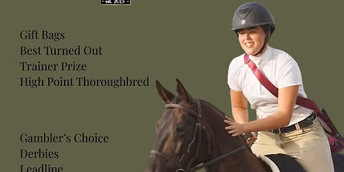 High Street Horse Shows - Season Finale