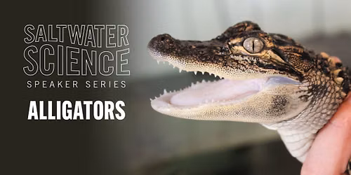 Saltwater Science Series: Alligators