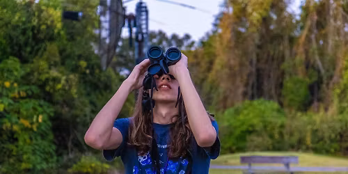 Geminid Meteor Shower