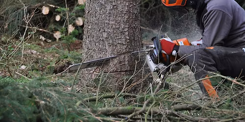 Emergency First Aid 1 day course including Forestry First Aid +F (RQF)