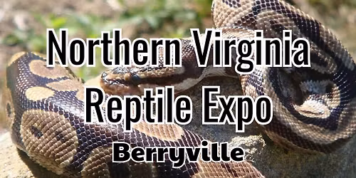 Northern Virginia Reptile Expo Berryville