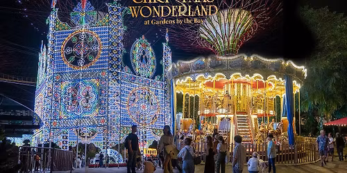 Night Walk @ Christmas Wonderland