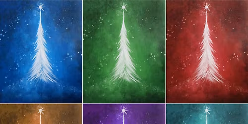 Choose Your Own Adventure Christmas Tree at Danny Boy's Tallmadge