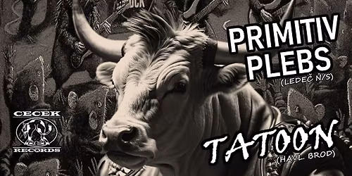 Narozeninov\u00fd Punk Fest: Aqva Silentia, 111. Pivn\u00ed Peru\u0165, Primitiv Plebs, Born 2 Drill a Tatoon. 