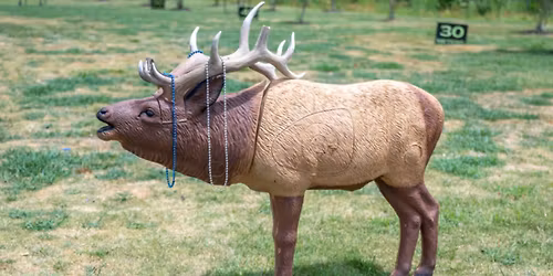 3D Days at The Quiver