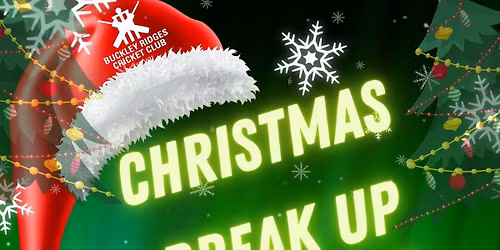 Christmas Break Up\/Beer Pong