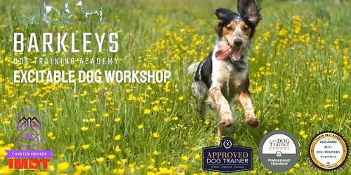 Excitable Dog Workshop