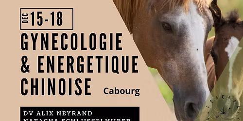 Energetique chinoise et emotionnel hormonal NORMANDIE