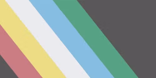 Vammaisten pride \/ Disability Pride