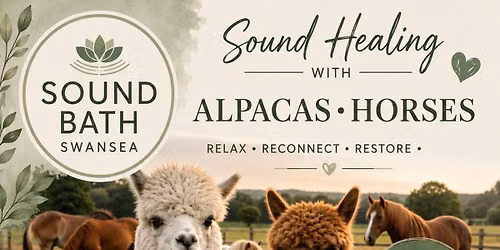 Sound Healing with Alpaca\u2019s & Horses at Brynteg Farm