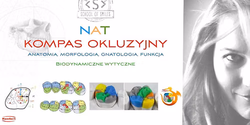 NAT Kompas Okluzyjny .Anatomia, morfologia, gnatologia, funkcja