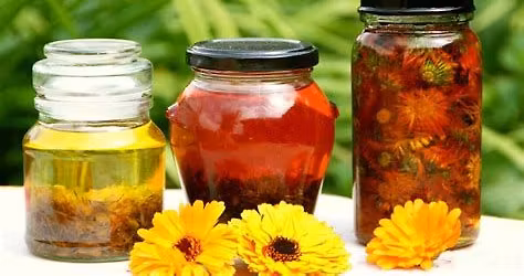 Atelier d'Herboristerie Pratique : Mac\u00e9r\u00e2ts et Baumes