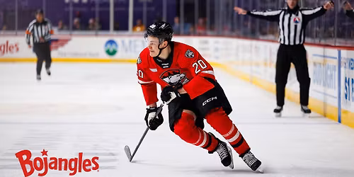 Charlotte Checkers vs. Springfield Thunderbirds